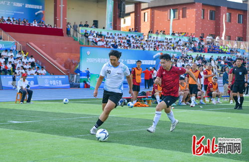 2025足球盛典，点燃未来的激情之旅