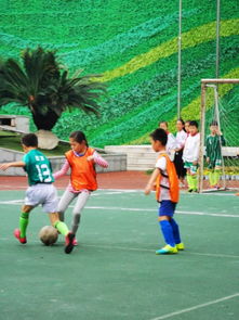 激情逐梦，绿茵争锋：探寻足球比赛的魅力与精彩瞬间