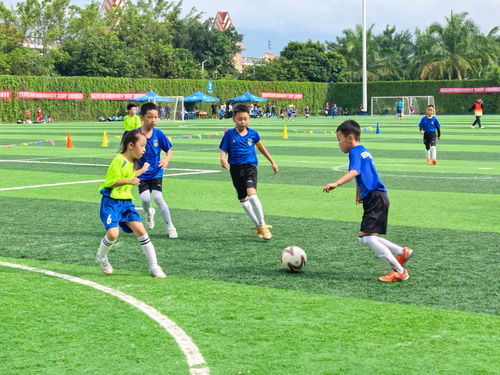 2025足球盛典，点燃未来的激情之旅