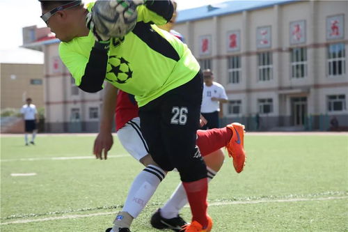 激情逐梦，绿茵争锋：探寻足球比赛的魅力与精彩瞬间