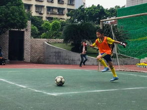 激情逐梦，绿茵争锋：探寻足球比赛的魅力与精彩瞬间