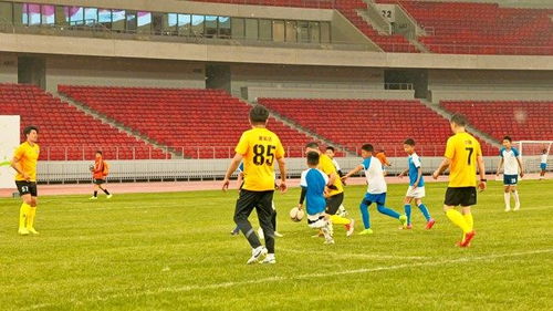 2025足球盛典，点燃未来的激情之旅