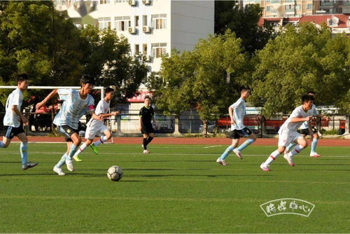 激情逐梦，绿茵争锋：探寻足球比赛的魅力与精彩瞬间